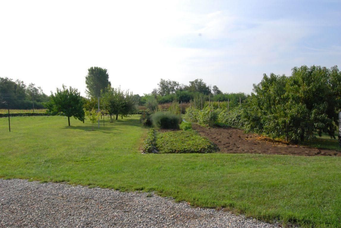 Agriturismo La Biandrina Carpignano Sesia Zewnętrze zdjęcie