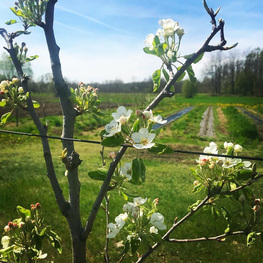 Agriturismo La Biandrina Carpignano Sesia Zewnętrze zdjęcie